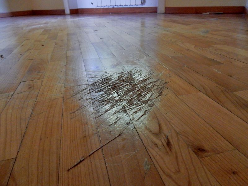 Wood Floor Scratch Repair in Castle Rock, CO